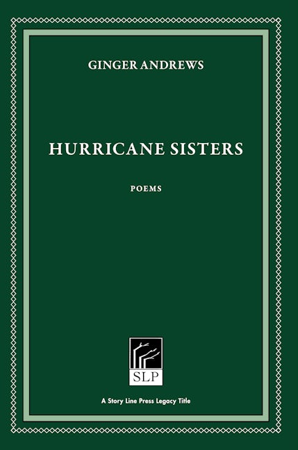 Book cover image for Hurricane Sisters ISBN: 9781586540753